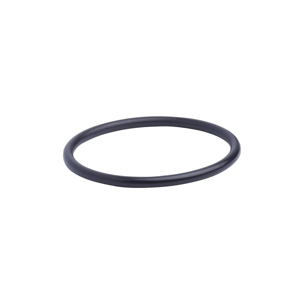 [AMAT2-66613] O-ring 1441128X1N