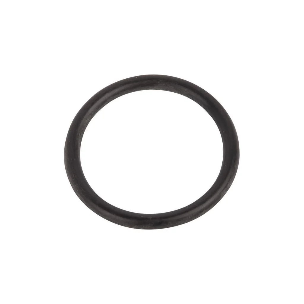 [AMAT2-66724] O-ring 14463680