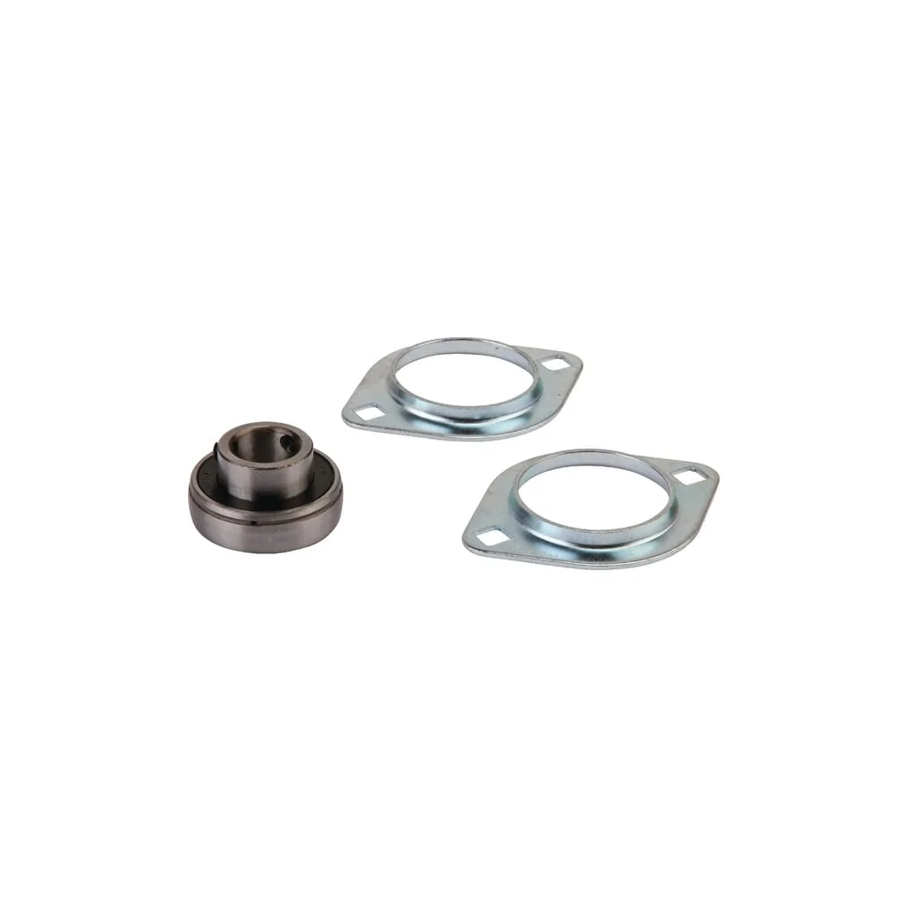 [AMAT2-63493] Rulment 1305122