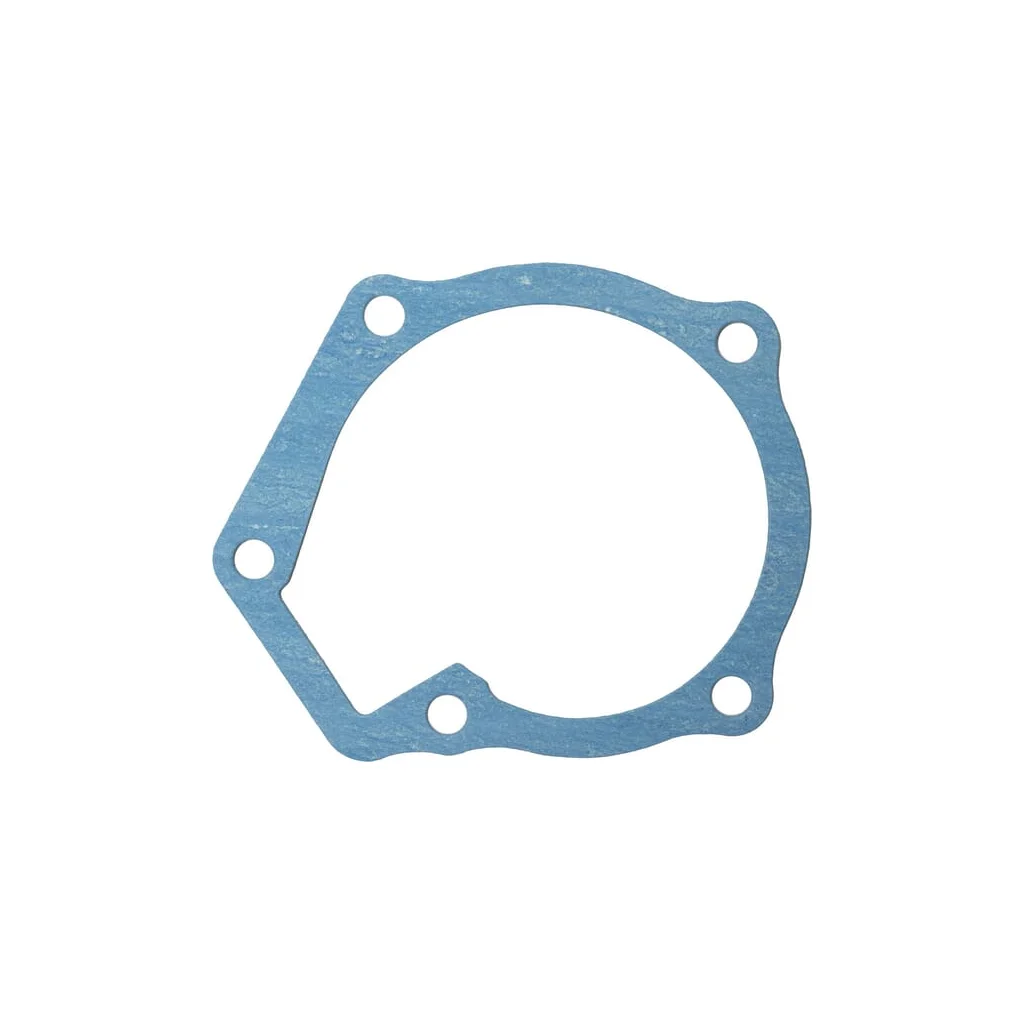 [AMAT2-71554] Garnitură pompă apă 1567673430