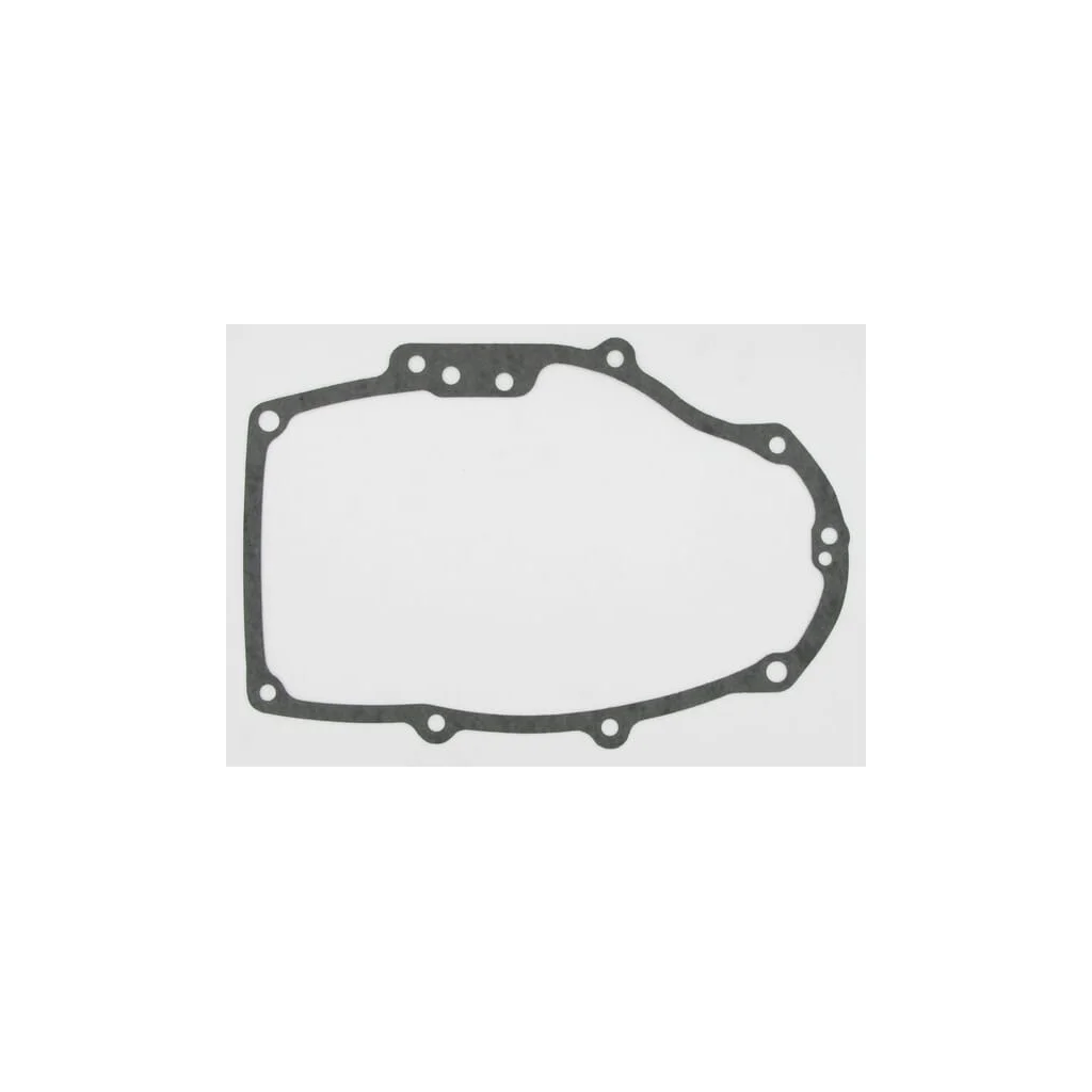 [AMAT2-48491] Crankcase gasket 110607008