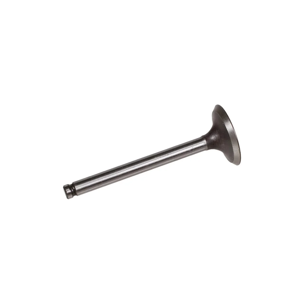 [AMAT2-56646] Supapă de admisie 120047005