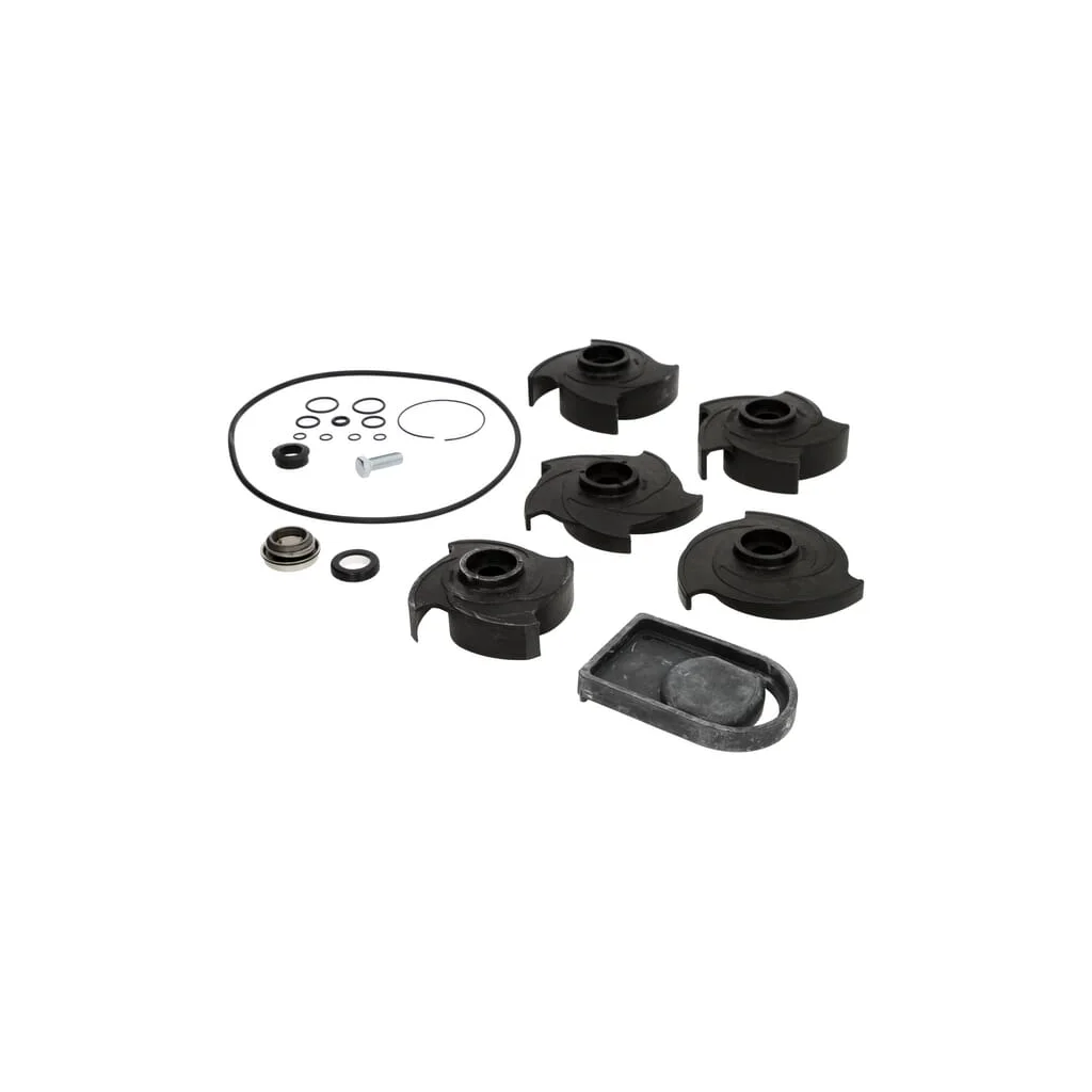 [AMAT2-56658] Set de reparație 2" pompă Poly 12000A