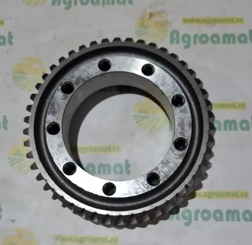 [AMAT1-16747] Pinion Merlo 024813