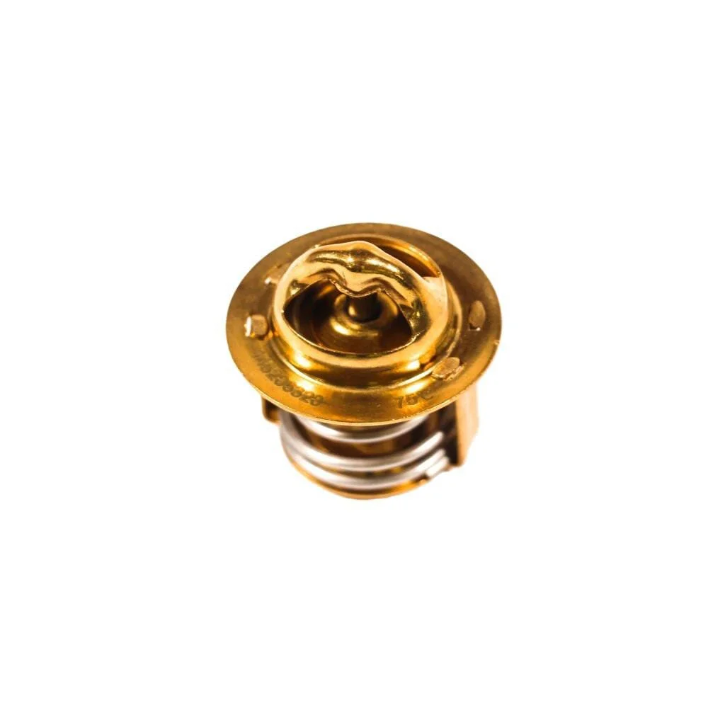 [AMAT2-67606] Termostat 145206320