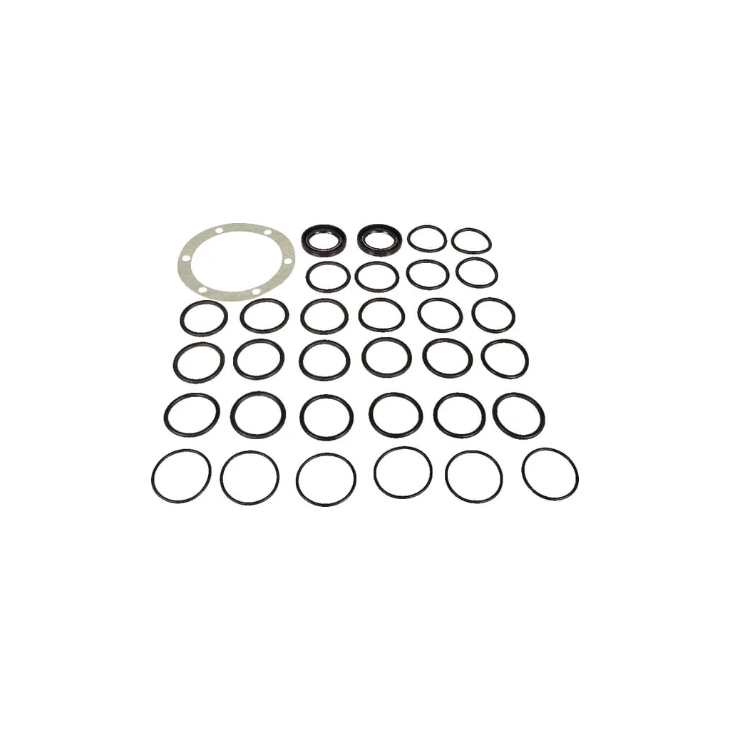 [AMAT2-67736] Set piese de rezervă pompă Bertolini 149883973
