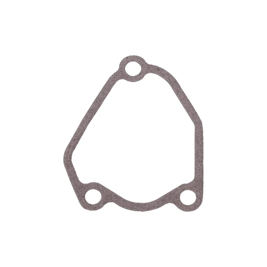 [AMAT2-48722] Garnitură de carburator 110602035