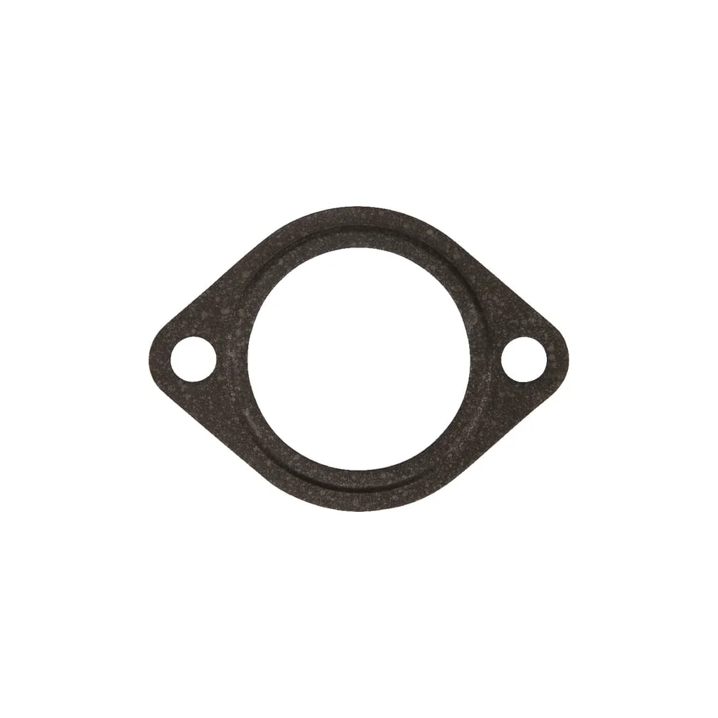 [AMAT2-74285] Garnitură termostat, D722 1685173270