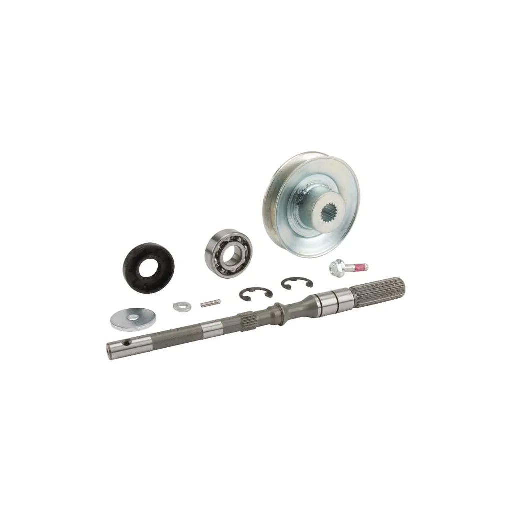 [AMAT2-80955] Set ax pompă 187Q0399950