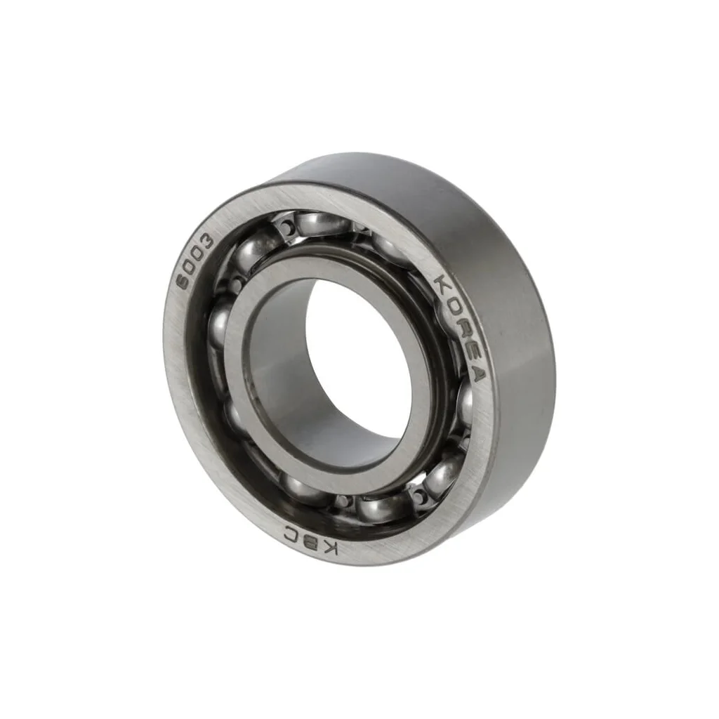[AMAT2-80985] Rulment 6003 C3 187N0013430