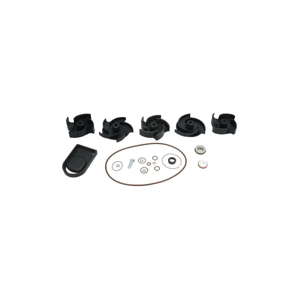 [AMAT2-56950] Kit reparație pompă Poly 2" FKM 12000AV
