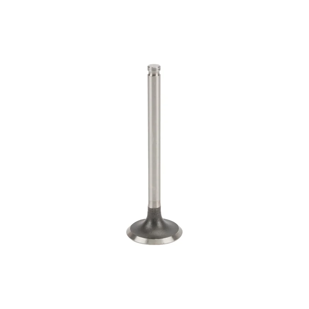 [AMAT2-57018] Supapă de admisie 120047002