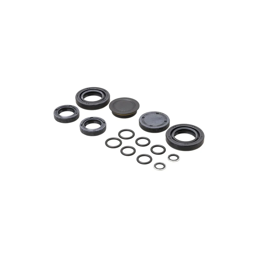 [AMAT2-81088] Kit de etanșare (cu ulei cu agent de etanșare) 187K0099030DA