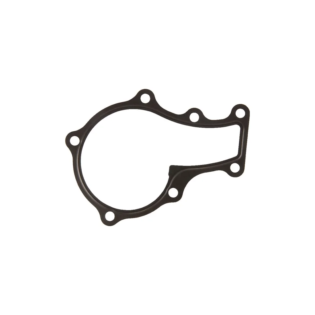 [AMAT2-74620] Garnitură pompă de apă, D722 1687173430
