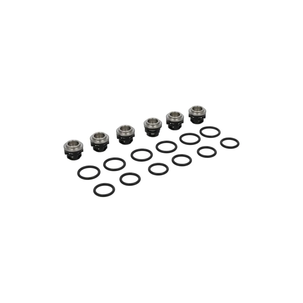 [AMAT2-81199] Set supapă de închidere 193955GS