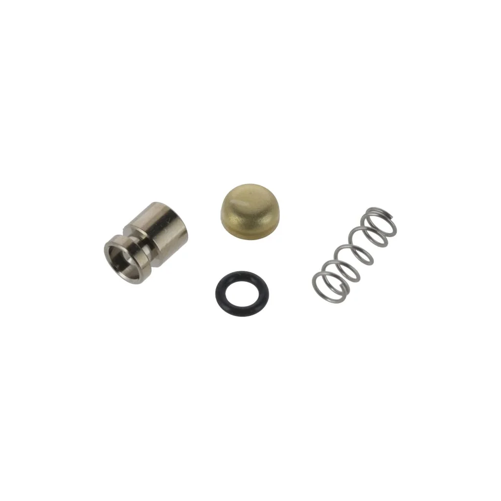 [AMAT2-53735] Kit piston pompă 11371209704