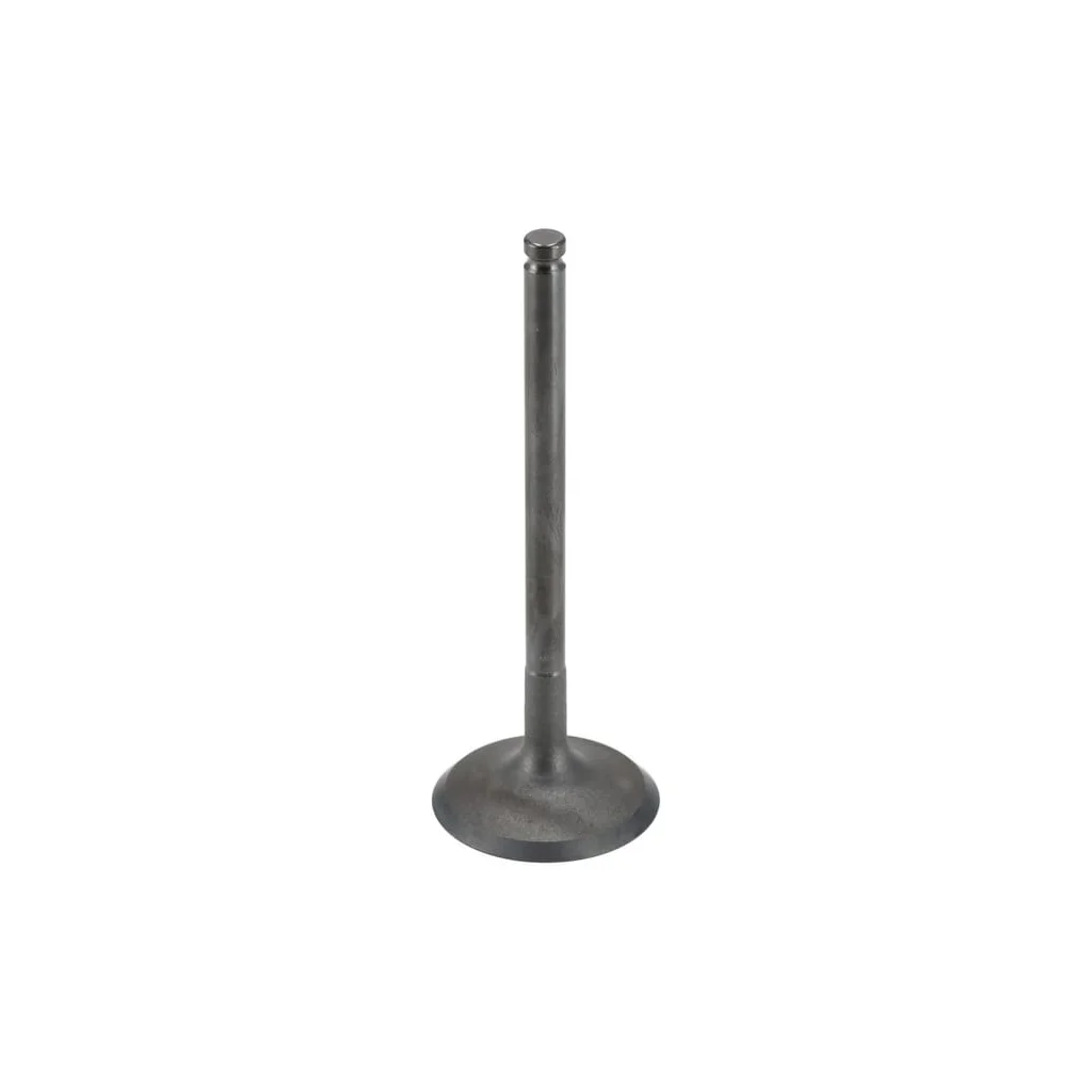[AMAT2-57117] Supapă de admisie 120040733