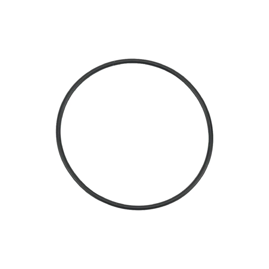 [AMAT2-81429] O-ring 1a s60 19215726560