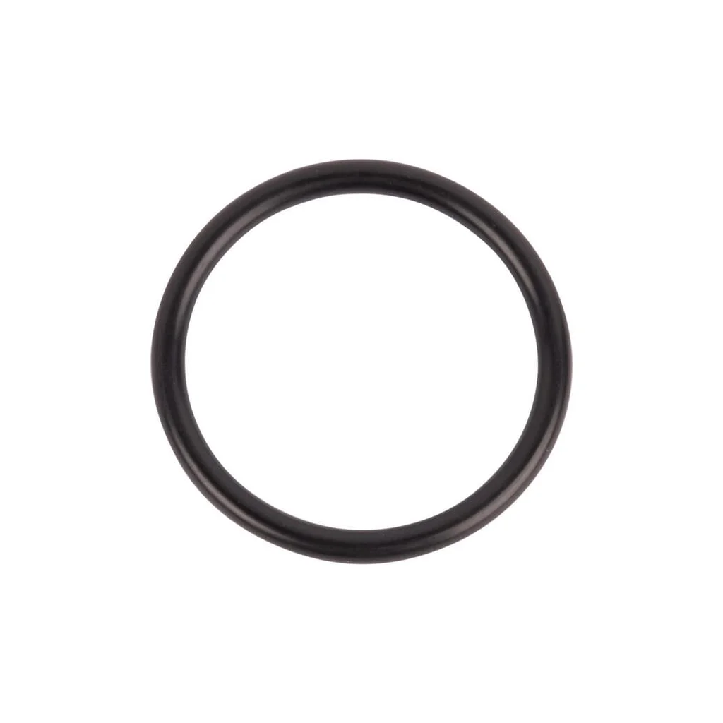 [AMAT2-74793] O-ring 167268
