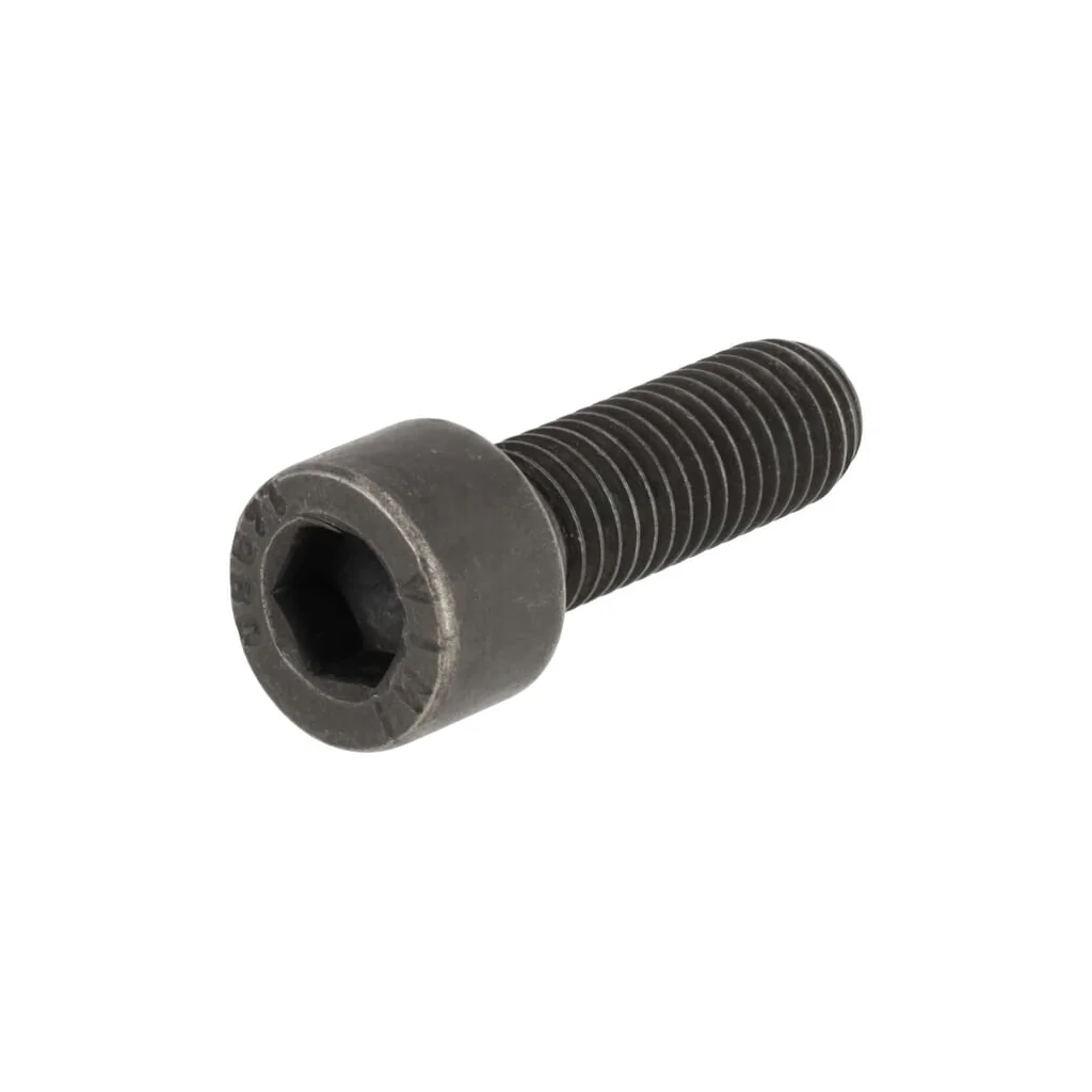 [AMAT2-57309] Șurub cu cap cilindric 12317086