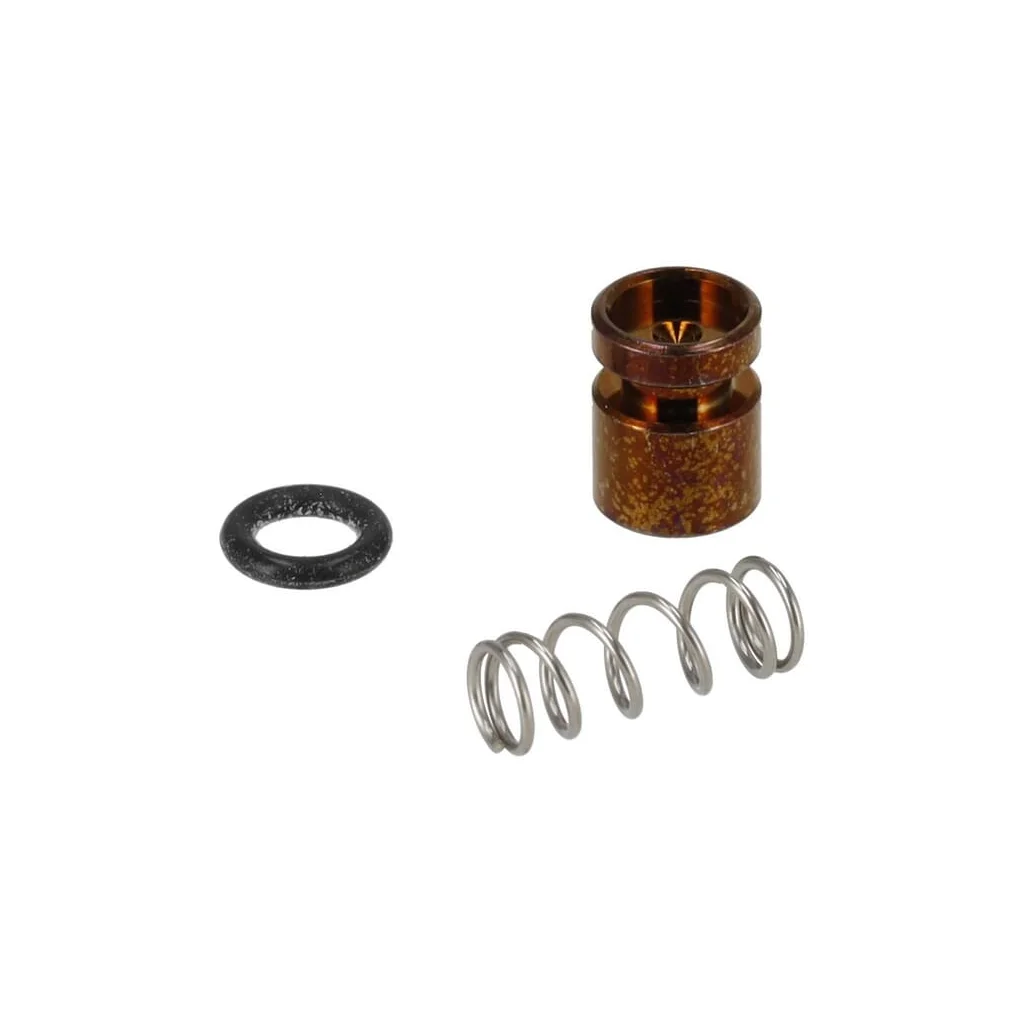 [AMAT2-50777] Kit piston pompă 11231209701