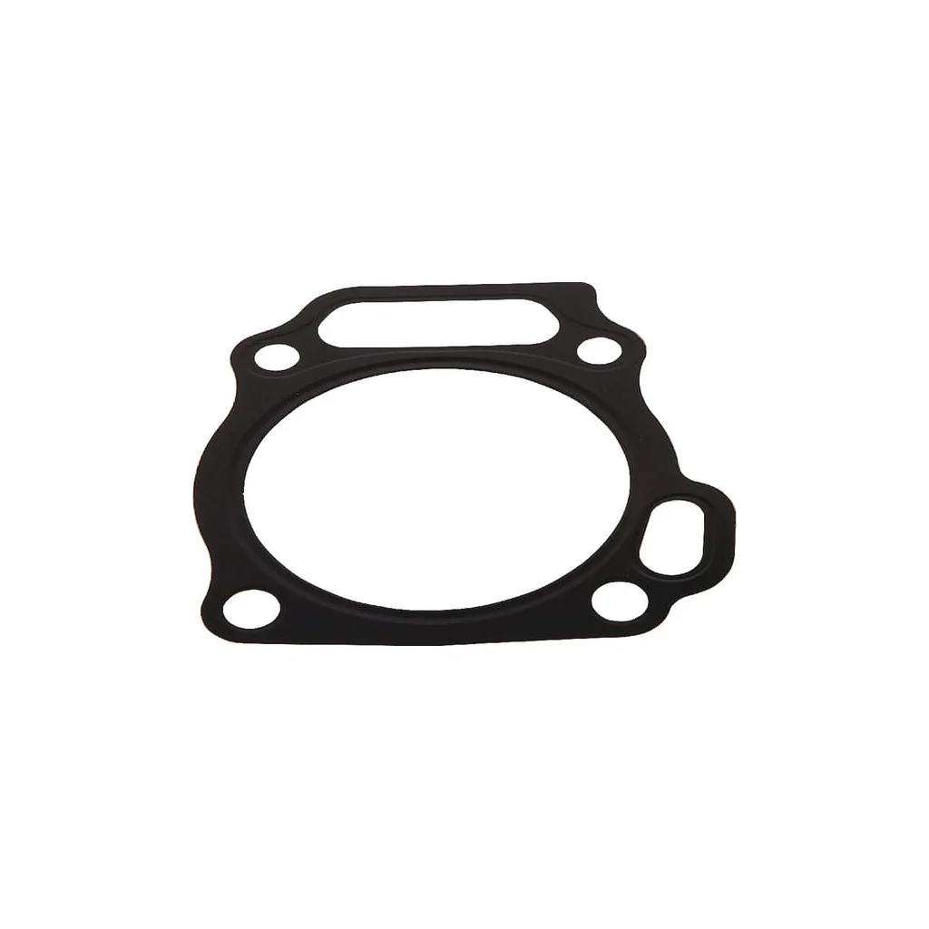 [AMAT2-57605] Garnitură chiuloasă 12251Z5T003