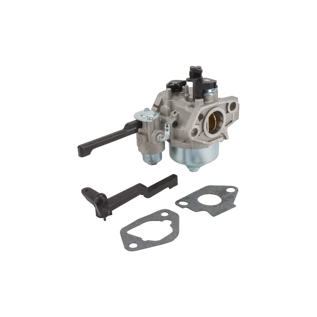 [AMAT2-75255] Carburator cu garnituri 1785305S