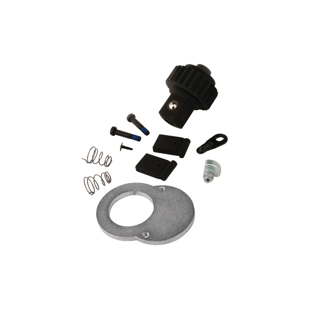 [AMAT2-78948] Set de reparație antrenor cu clichet 1807-100110 1807100110RKR