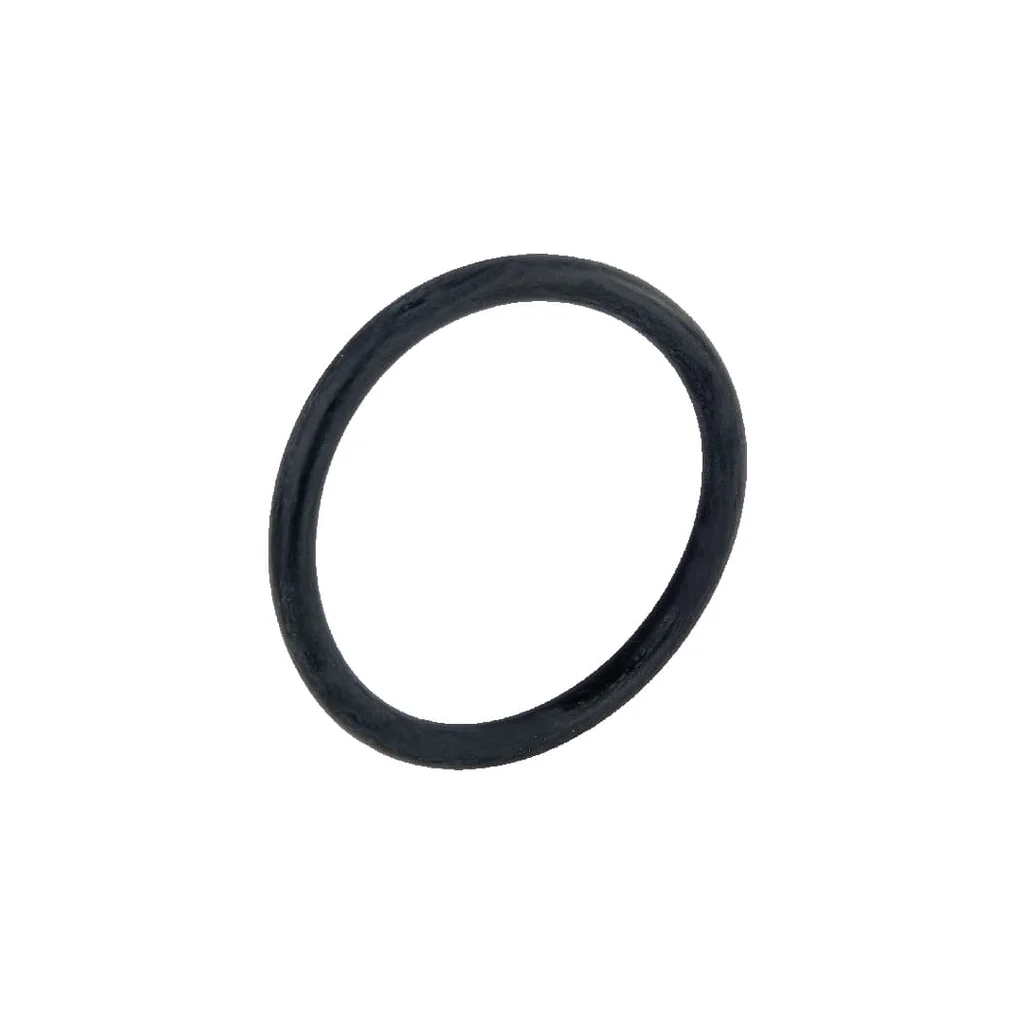 [AMAT2-54377] O-ring pompă apă 1180277