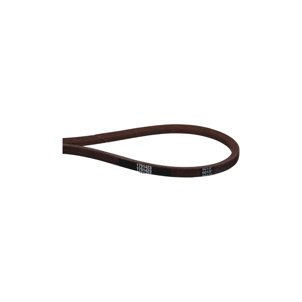 [AMAT2-75380] Curea 1751423YP