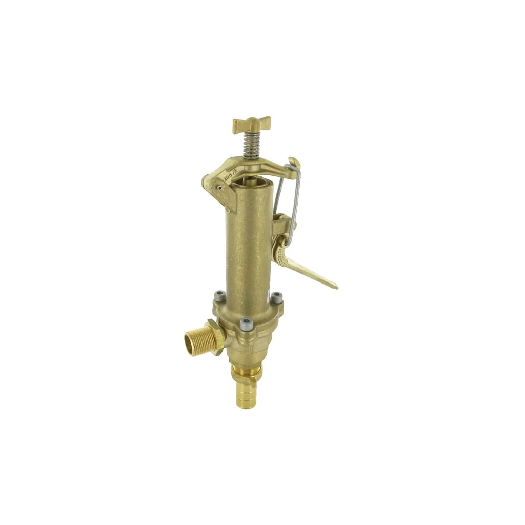[AMAT2-58420] Supapă de înaltă presiune pentru APS/IDS 12150084