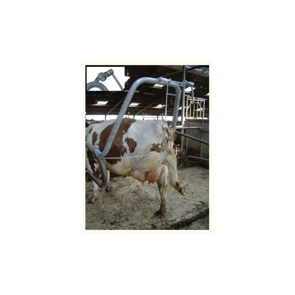 [AMAT2-73898] Cadru pentru îngrijirea copitelor cu suport pentru picioare 1641021002