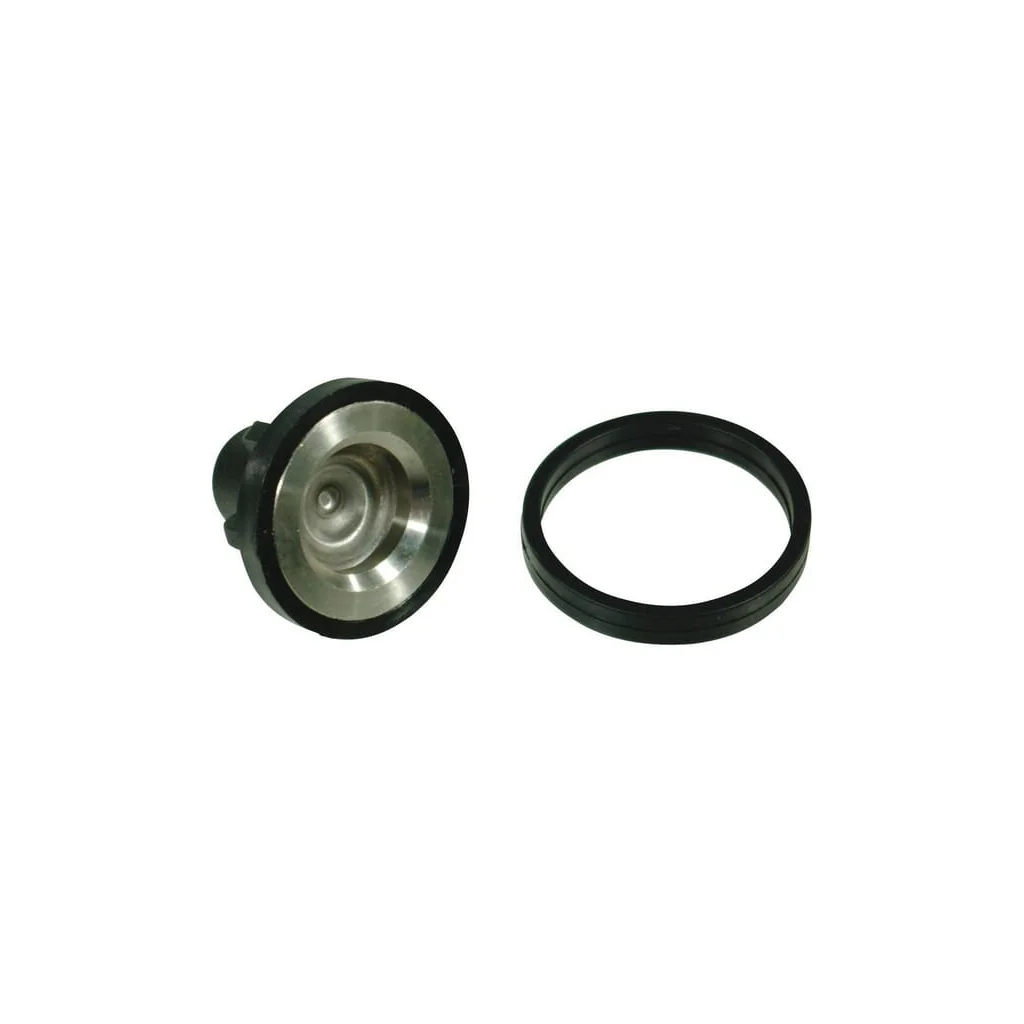 [AMAT2-58533] Set de ventil Comet 265/305 12200042