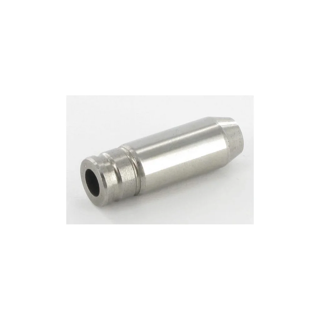 [AMAT2-58674] Ghidaj supapă de admisie 12204ZE2306