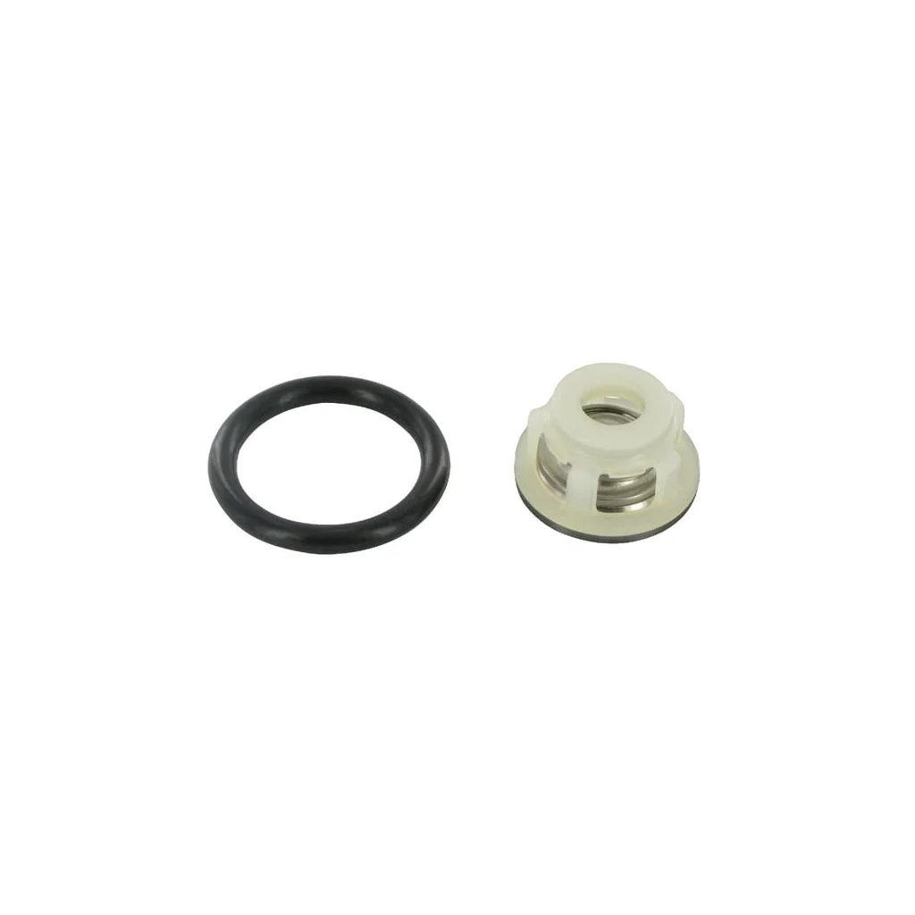 [AMAT2-58679] Supapă aspirare/presiune Comet 12200065