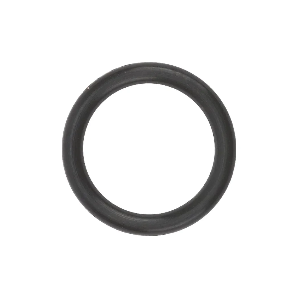 [AMAT2-83054] O-ring 6.1 19485049290