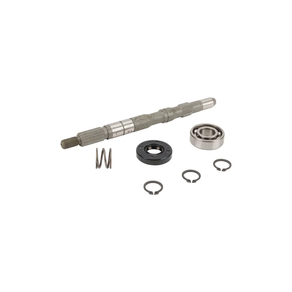[AMAT2-83745] Ax pompă/Set rulment 1A632099200
