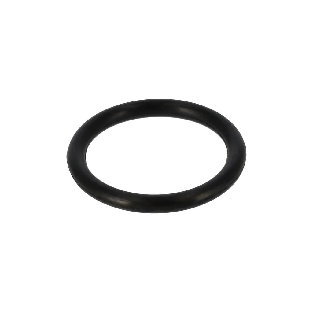 [AMAT2-80869] O-ring 1015 187K0824940