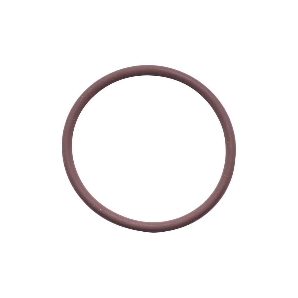 [AMAT2-76283] O-ring 17278981