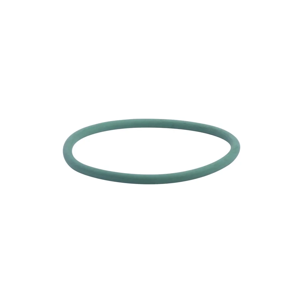 [AMAT2-76348] O-ring pompă apă 17290081