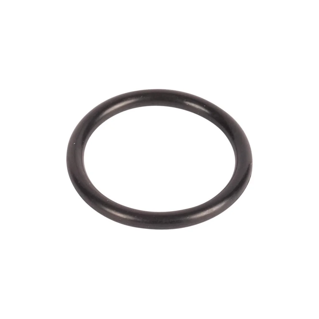 [AMAT2-89119] O-ring 215300580N