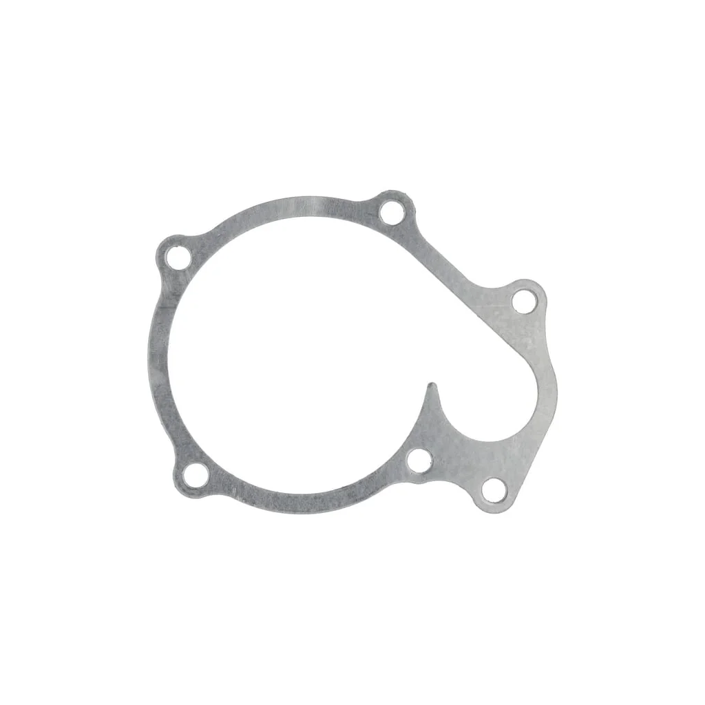 [AMAT2-84699] Garnitură pompă apă 1C01073430
