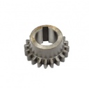 Pinion