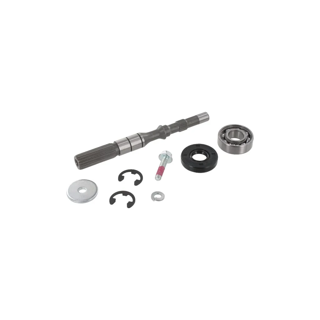 [AMAT2-85105] Arbore de pompă/rulment, set 1A646099980