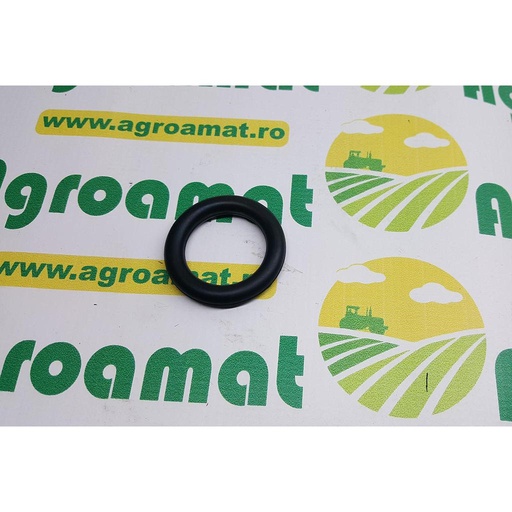 [AMAT1-18224] O-Ring 244054