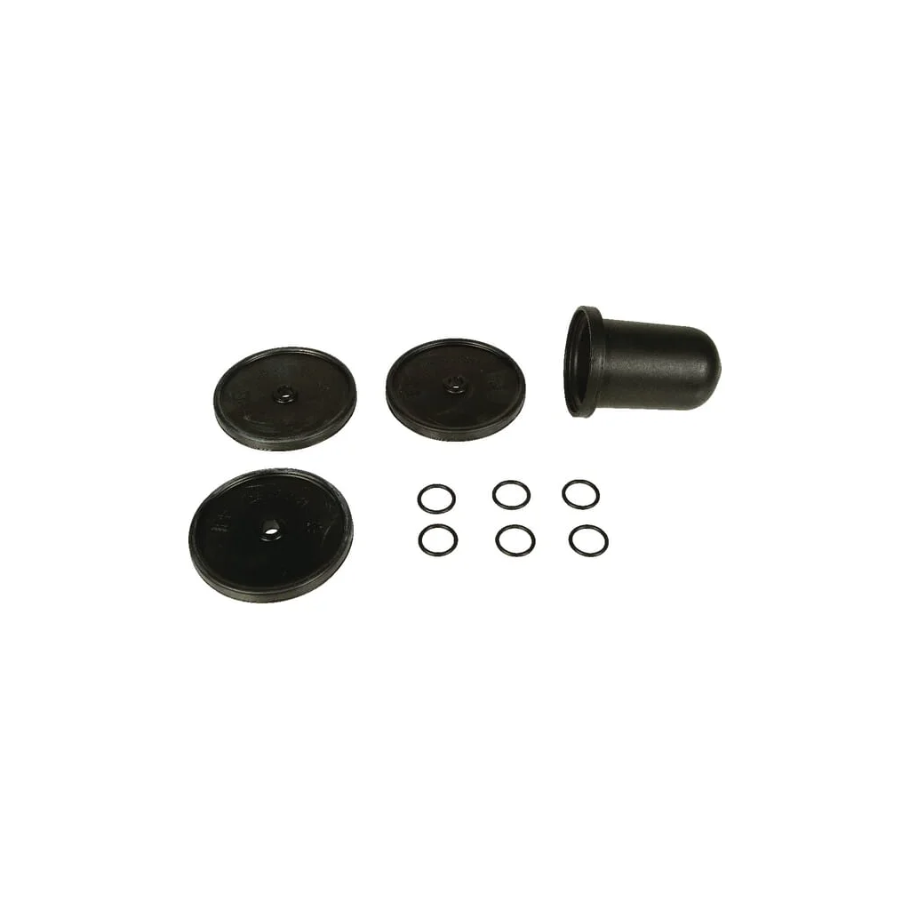 [AMAT2-92163] Set membrane Buna Bertolini 239830973