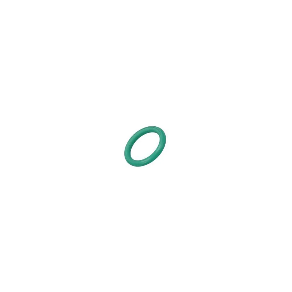 [AMAT2-77054] O-ring 17281681FPT
