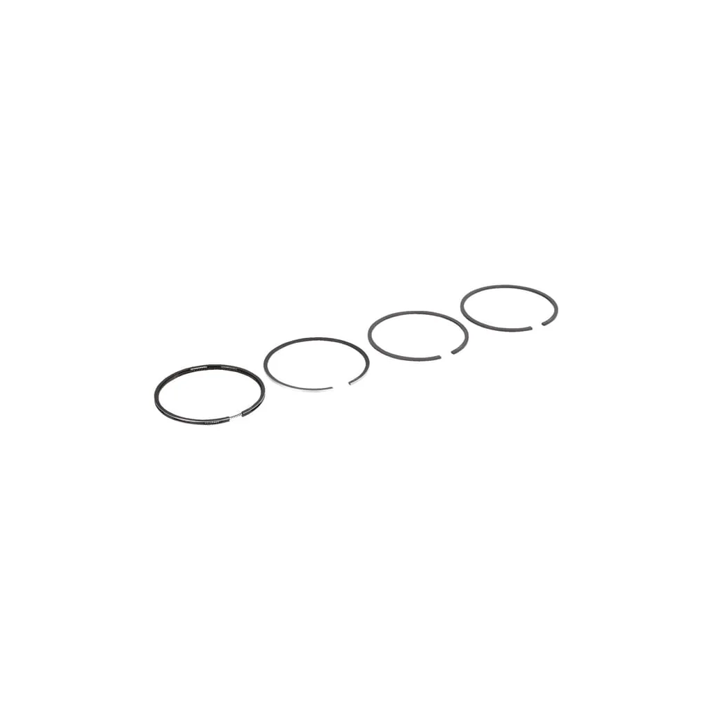 [AMAT2-90332] Set segmente piston 4 segmente 2233074