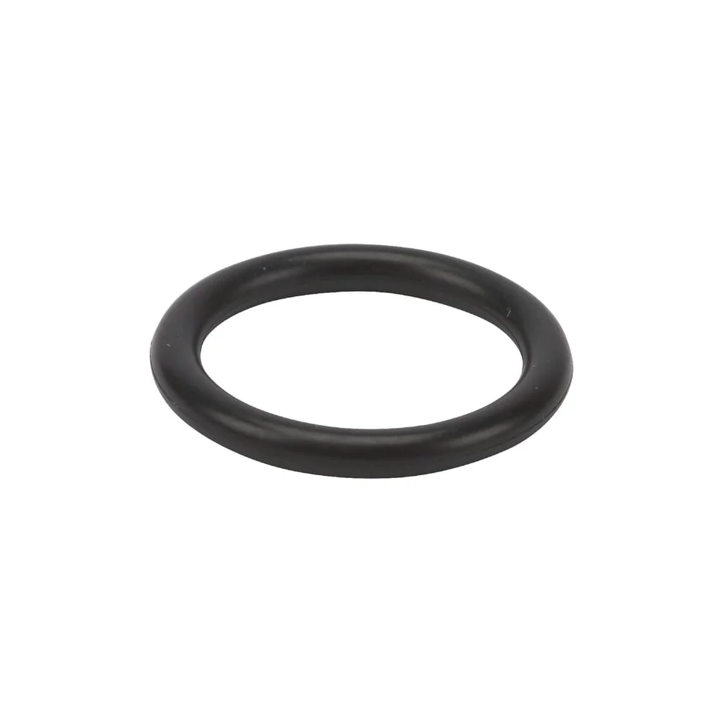 [AMAT2-93185] O-ring 1a p16 24311000160