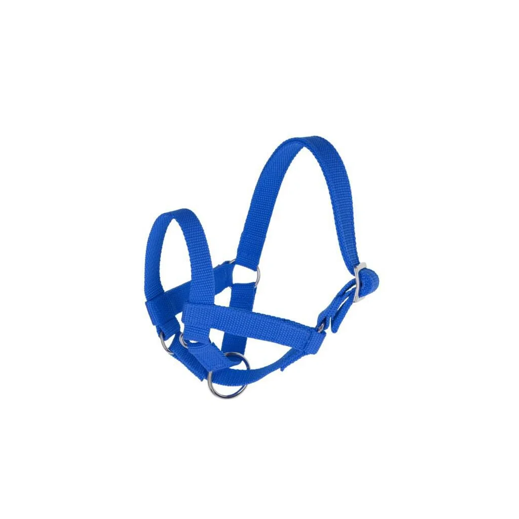 [AMAT2-98239] Halter pentru Lame, mărimea 50 albastru 27198